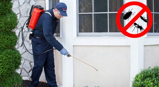 Odunpazarı Tahtakurusu İlaçlama böcek ilaçlama ve haşere kontrolü — ilaclama-tr.com